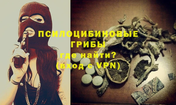 МДПВ Алексеевка